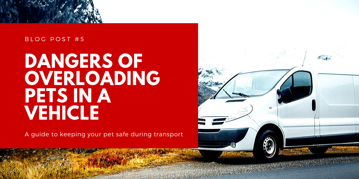 Thumbnail for "Dangers of Overloading Pets in a Vehicle" with van in mountains.